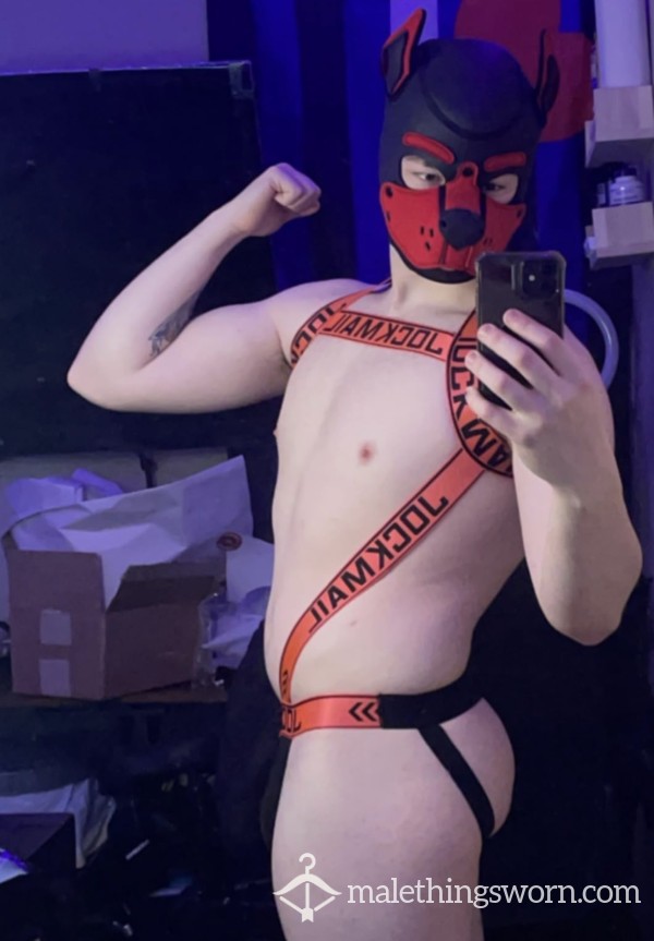 Harness And Jockstrap