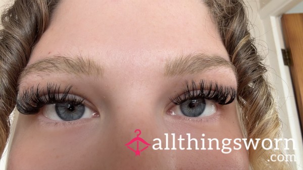 Have My Cluster Lashes✨