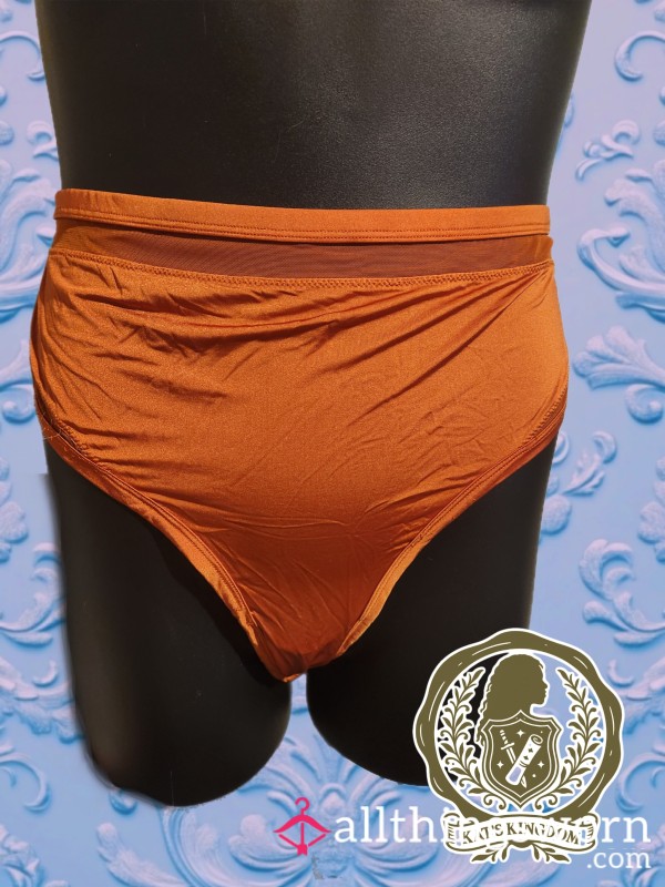 🧡 Heatwave | Aerie Hi-Cut Brief Panty (XXL)