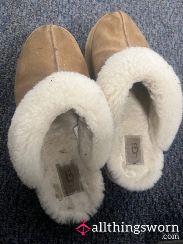 Heavily Used Ugg Slides