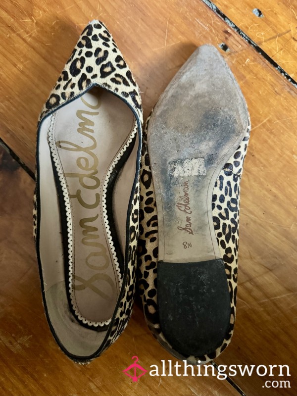 Heavily Worn Sam Edelman Leopard Flats
