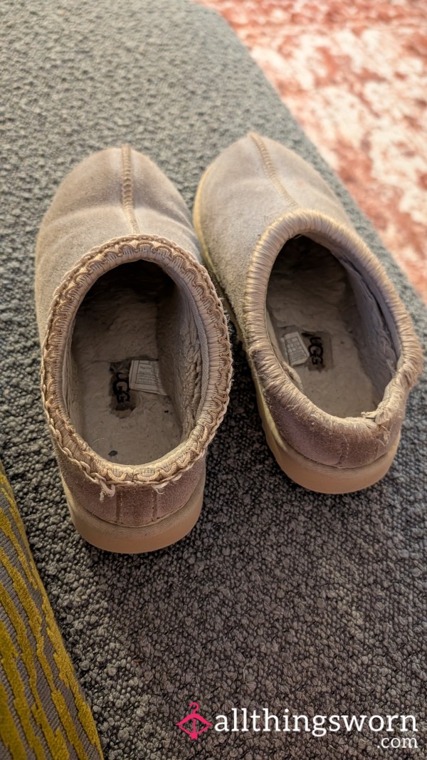 Heavily Worn UGG Slippers