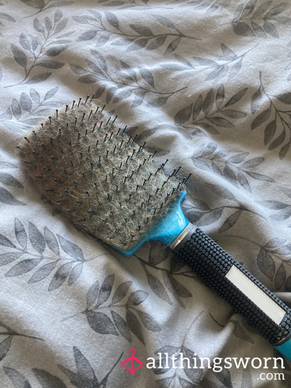 Heavy Used Hairbrush With A Lot Of This Queens Hair