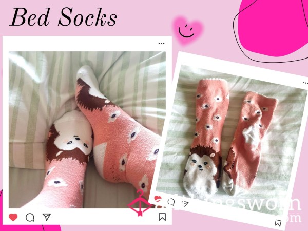 Hedgehog Bed Socks🦔