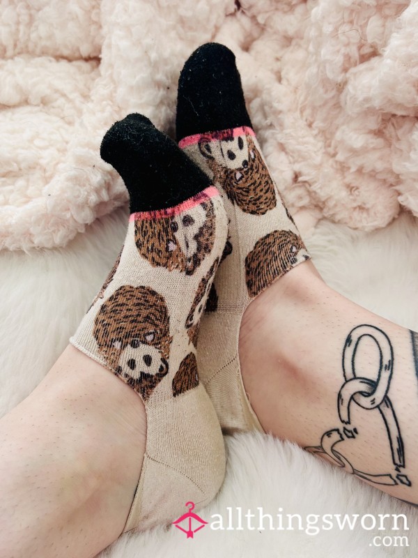Hedgehog No-Show Socks – Worn Just For You