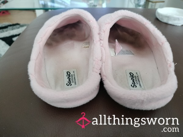 My Daily Cosy Companion. Stinky Sweaty Pink Slippers