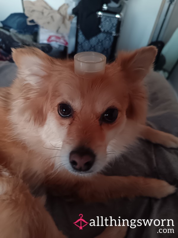 Help Me Pay My Rent