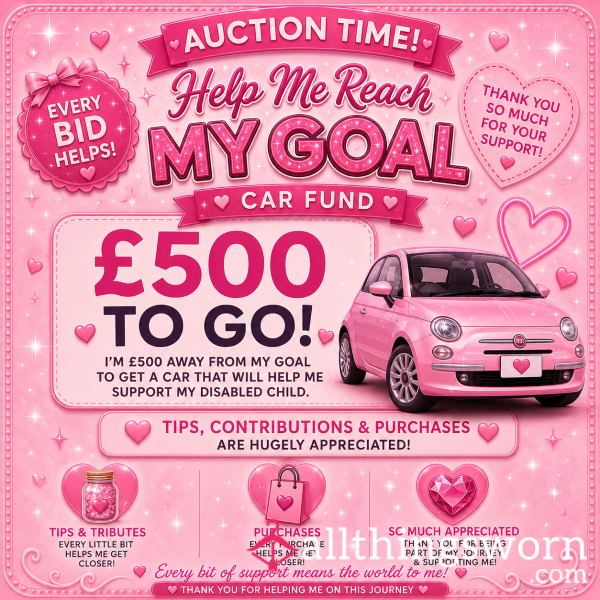 Help Me Reach My Car Fund Goal 🚗💕