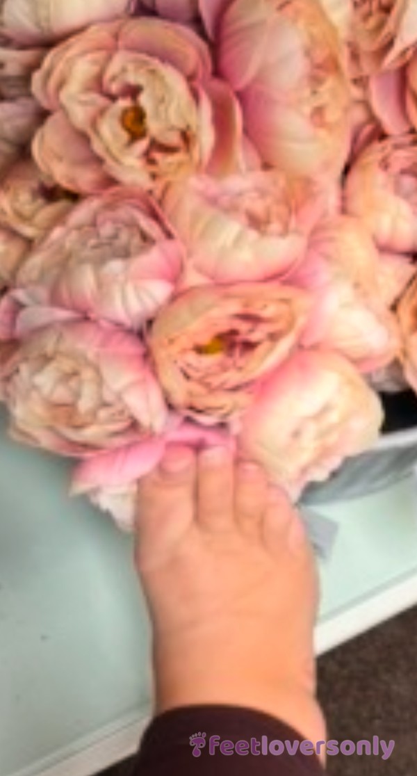 Here Is My Foot Sniffing The Pretty Flowers
