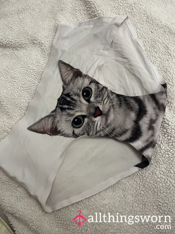 🐱 Here Kitty Kitty, Pu**y Panties 🐱