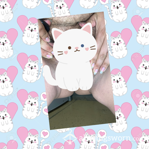 Here Kitty 🐈‍⬛