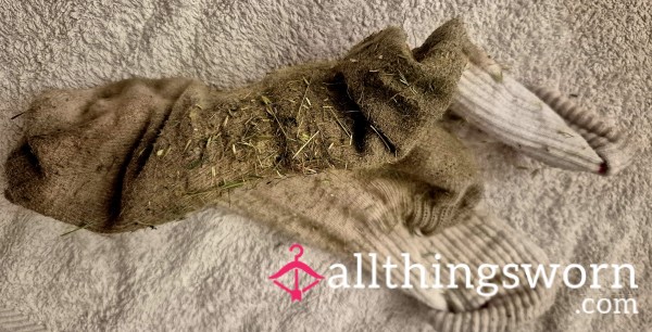 His Filthy 4 Day Worn Socks