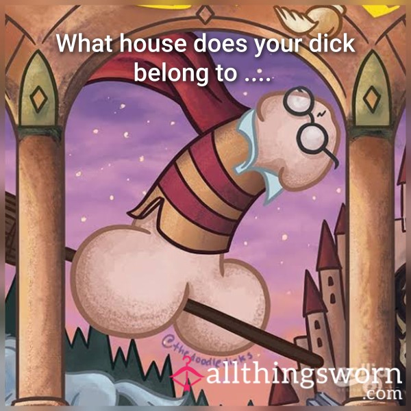 🍆 Hogwarts D*ck Rating ⚡😈