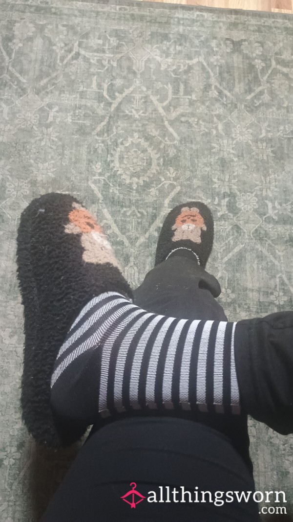 Well Worn Halloween Bear Slippers