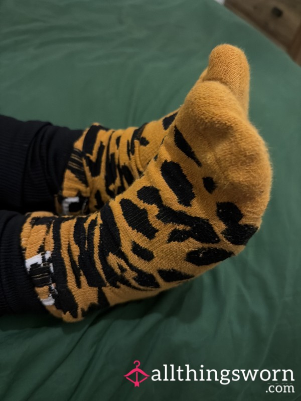 Homeless Girls Socks