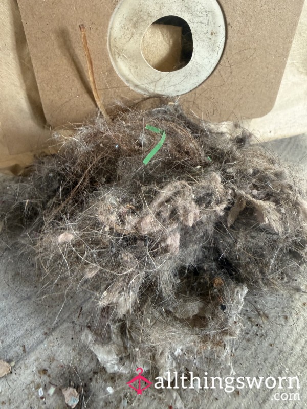 Hoover Bag Contents