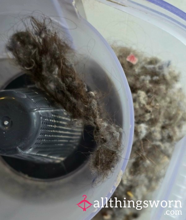 Hoover Contents