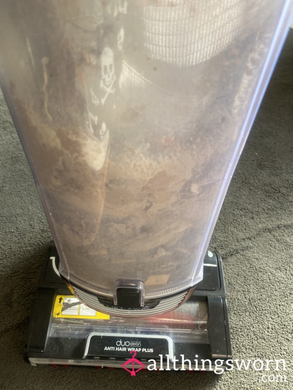 Hoover Dust