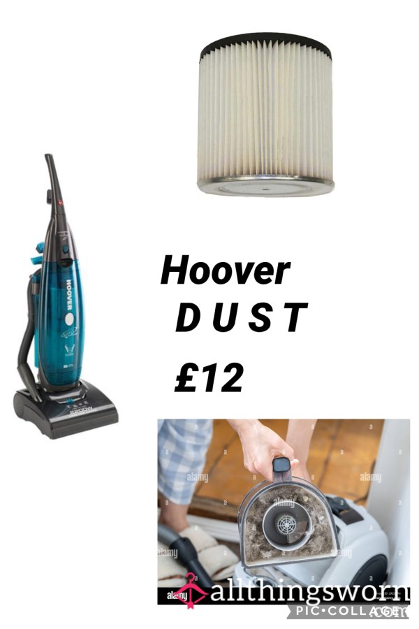 Hoover Dust