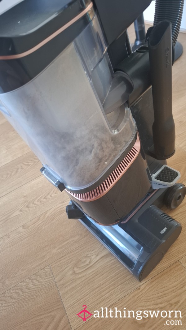 Hoover Dust