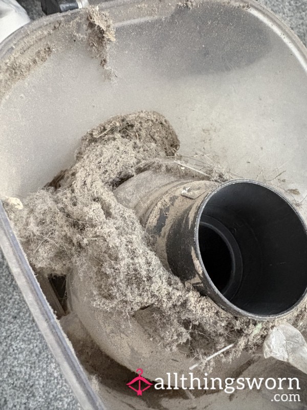 Hoover Dust