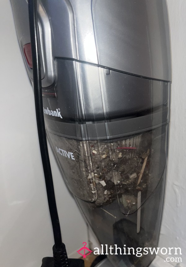 Hoover Dust
