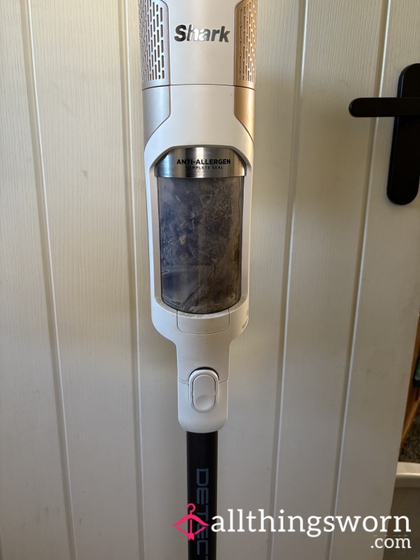 Hoover Dust