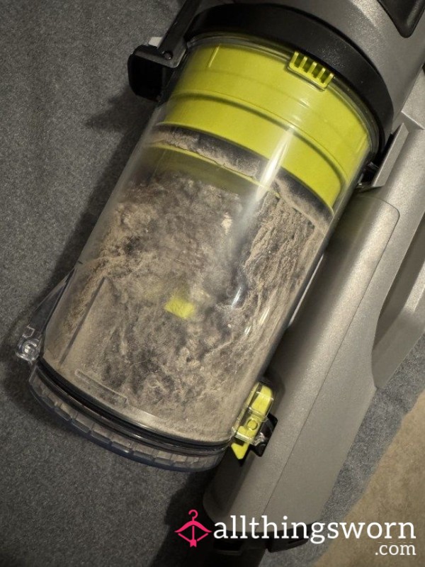 Hoover Dust