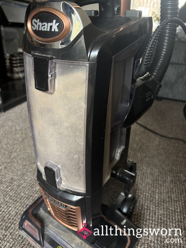 Hoover Dust
