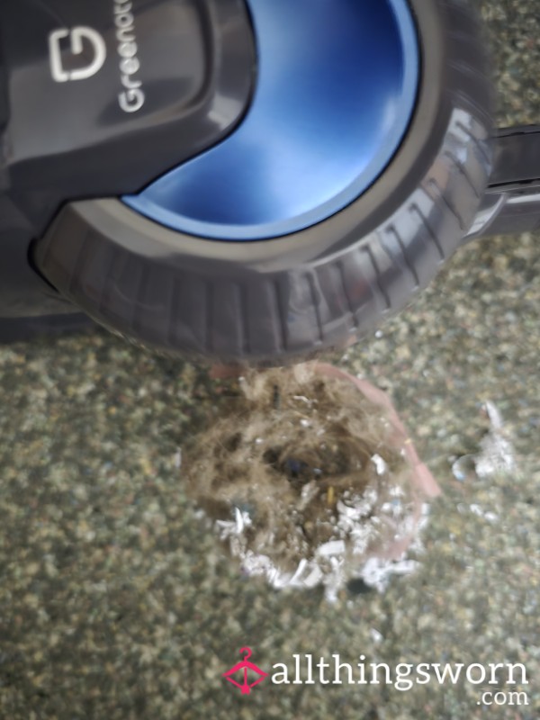 Hoover Dust/ Contents