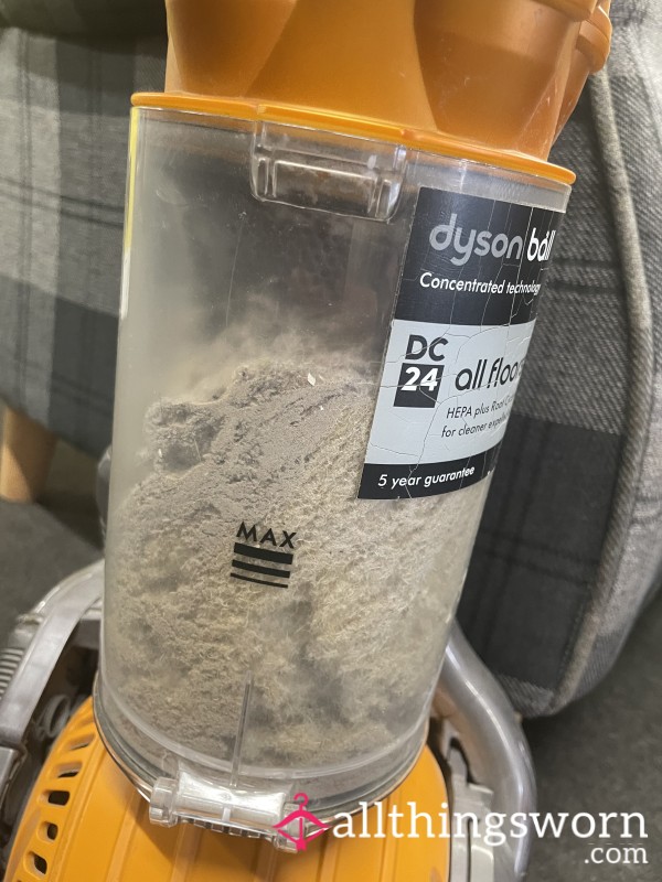 Hoover Dust From My Home