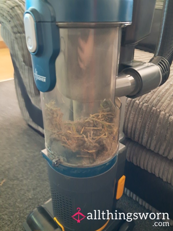 Hoover Dust - One Man's Rubbish Is Another's Treasure 😉