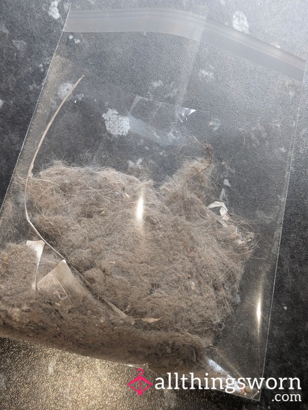 Hoover Dust Ready For You To Get Chomping On 🖕🏾