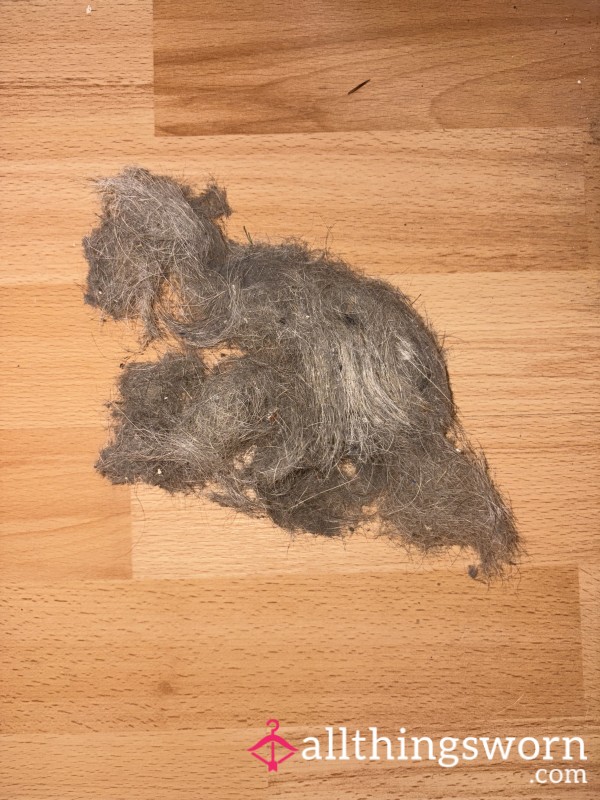 Hoover Lint