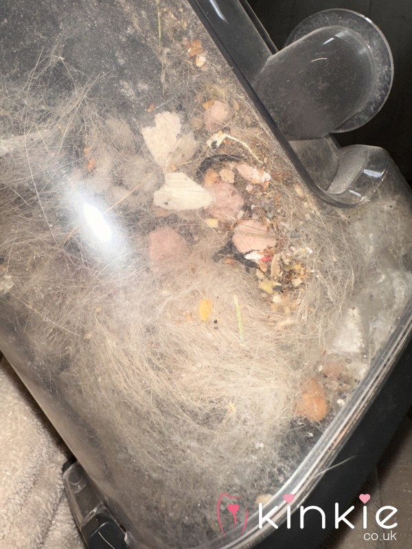 Hoover Meal Time💀