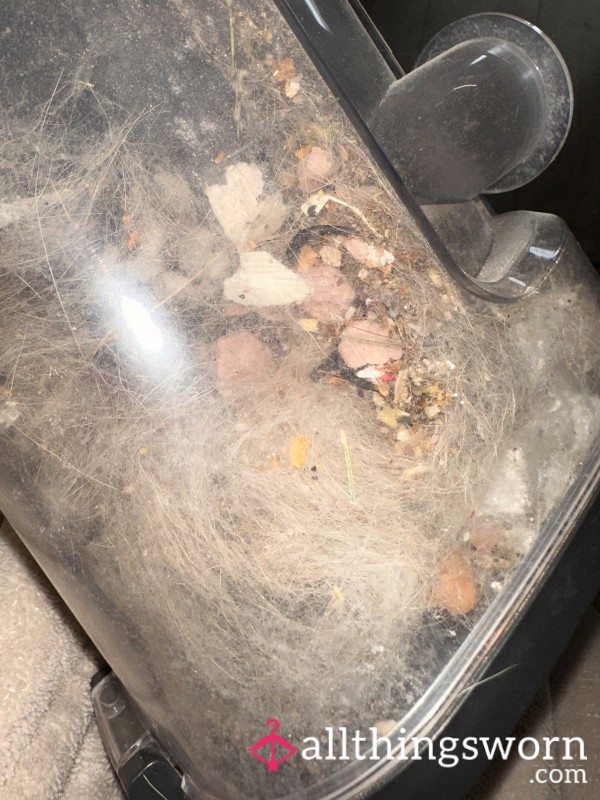 Hoover Meal Time💀