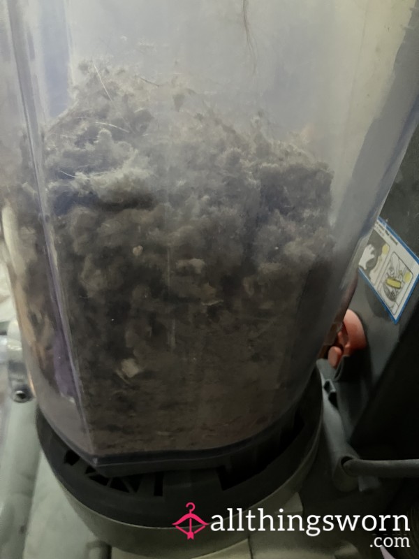 Hoover Vacuum Cleaner Dust