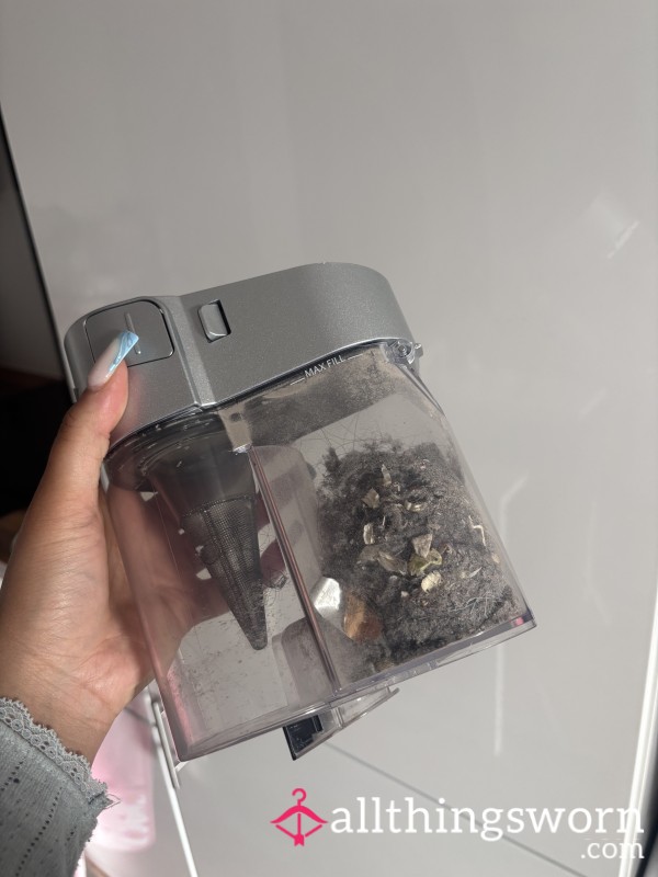 Hoover / Vacuum Dust