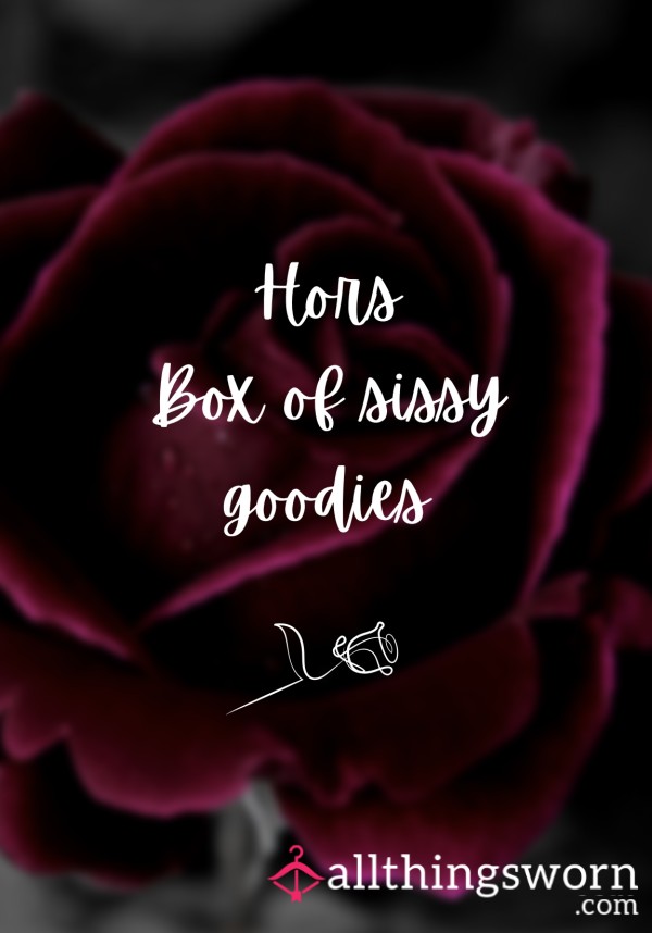 🌹 Hors Box Of Sissy Goodies 🌹
