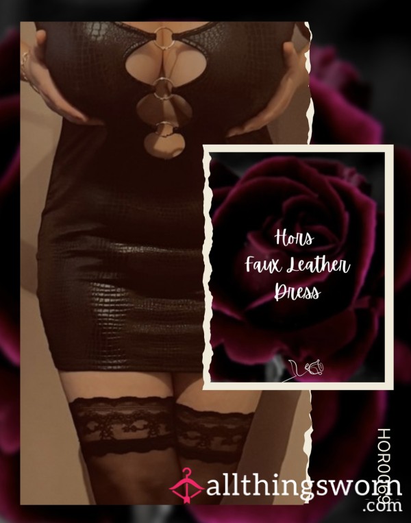 🌹 Hors Faux Leather Dress 🌹