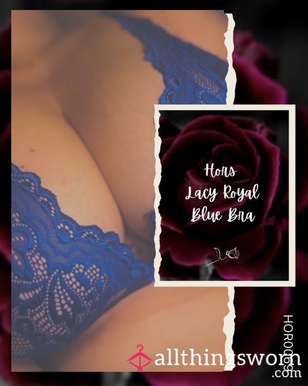 🌹 Hors Lacy Royal Blue Bra 🌹