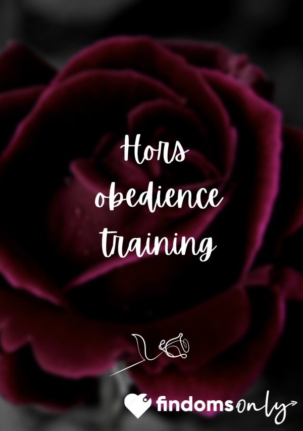 🌹Hors Obedience Training 🌹
