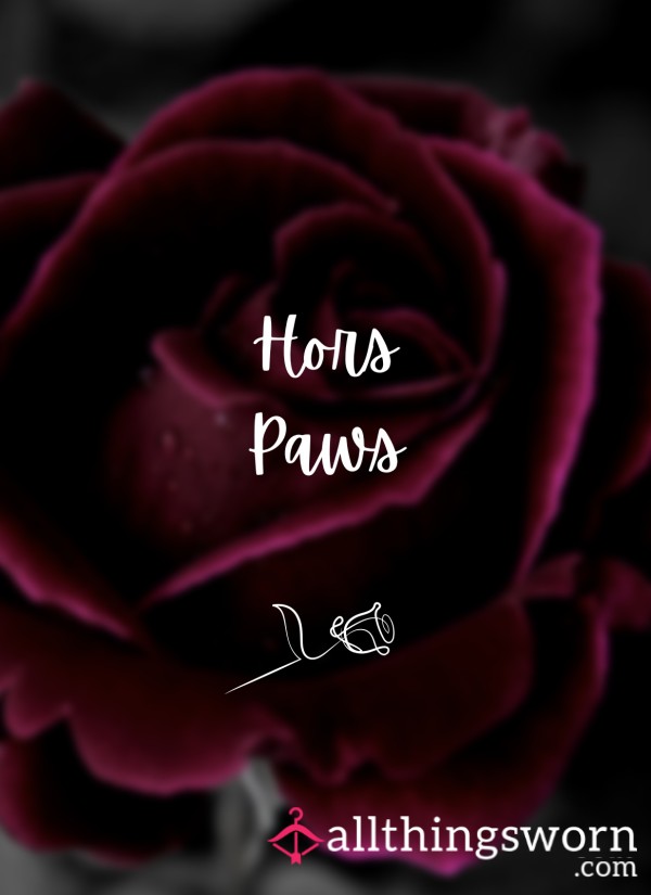 🌹 Hors Paws 🌹