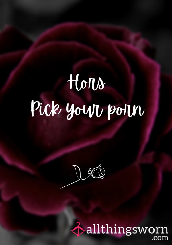 🌹 Hors Pick Your Porn 🌹