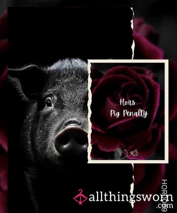 🌹 Hors Pig Penalty 🌹