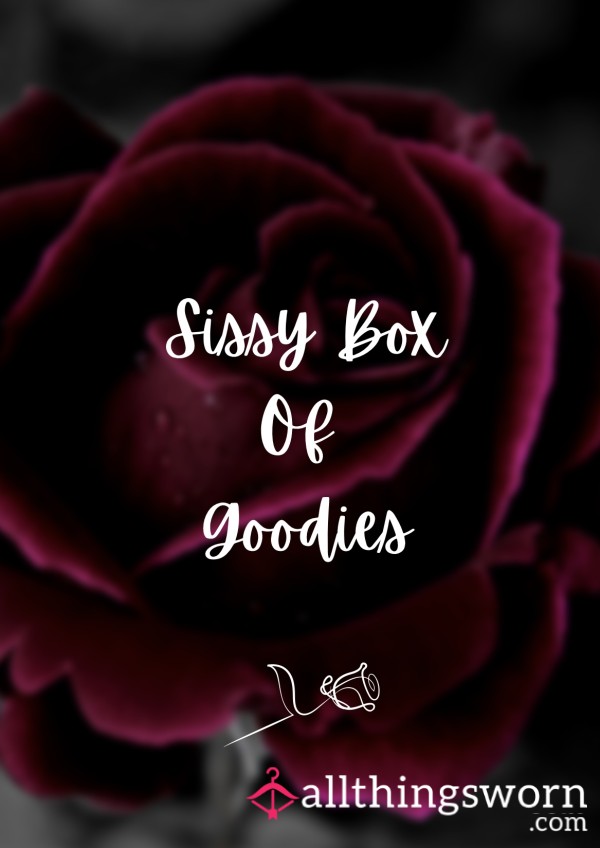 🌹 Hors Sissy Box Of Goodies 🌹