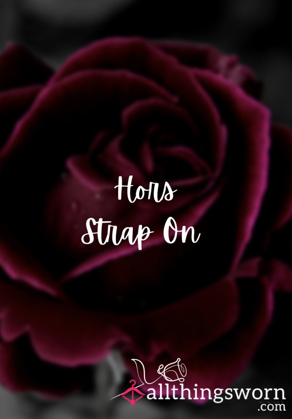 🌹 Hors Strap On 🌹 {3 Minute Video}