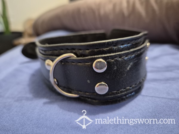 Hot Dog Collar Double Leather With Buckle