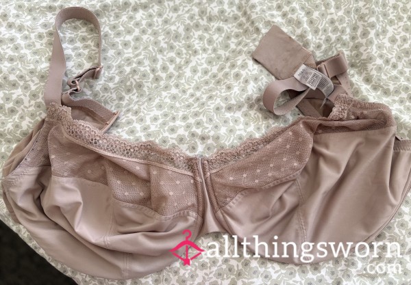 42G Hot, Sweaty Bra
