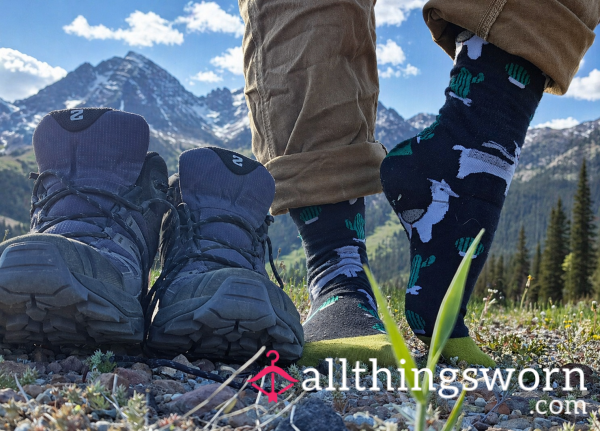 Hot, Sweaty, Stinky Backpacker's Socks